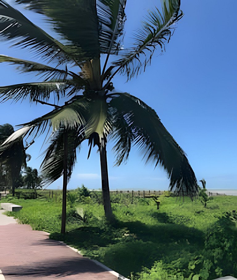 Ponta de Campina: VISTA MAR, Piscina e Conforto